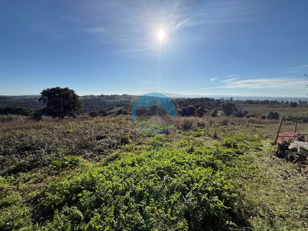 Terreno de 2.480m2 para construção - Usseira, Óbidos — Photo 23