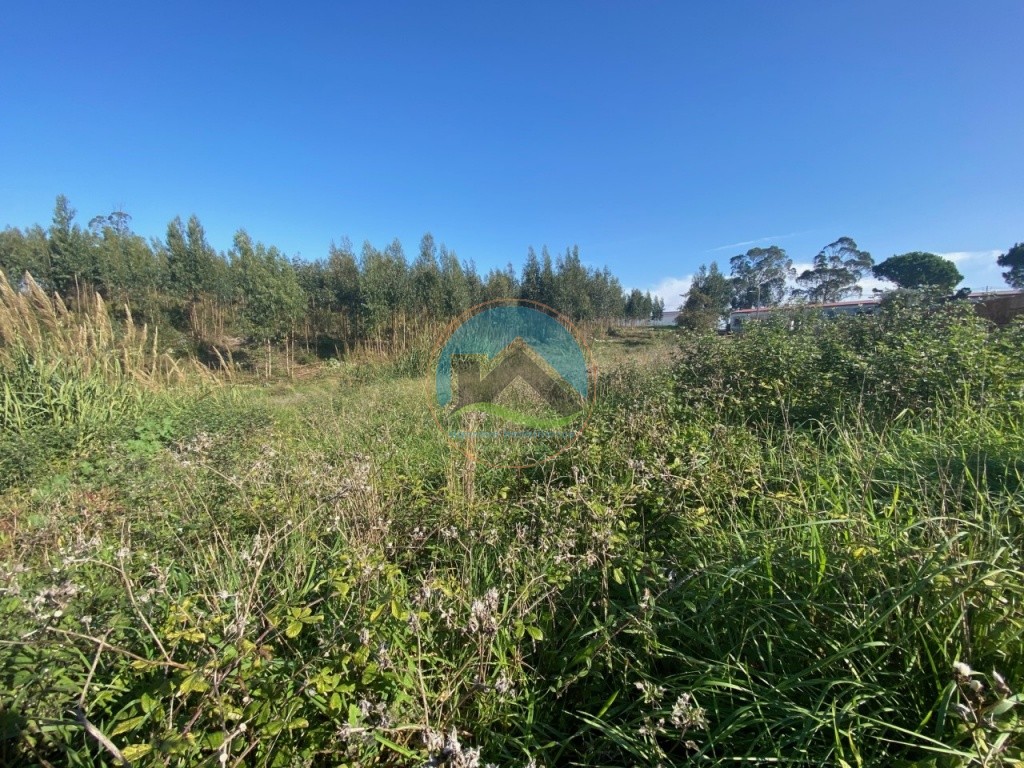 Terreno com 3.100 m2 - Vidais, Caldas da Rainha — Photo 4