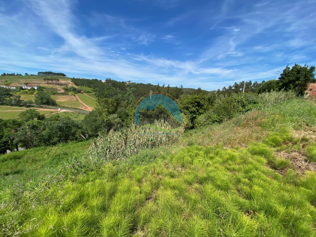 Terreno com 14.993 m2 - Alvorninha, Caldas da Rainha — Foto 17