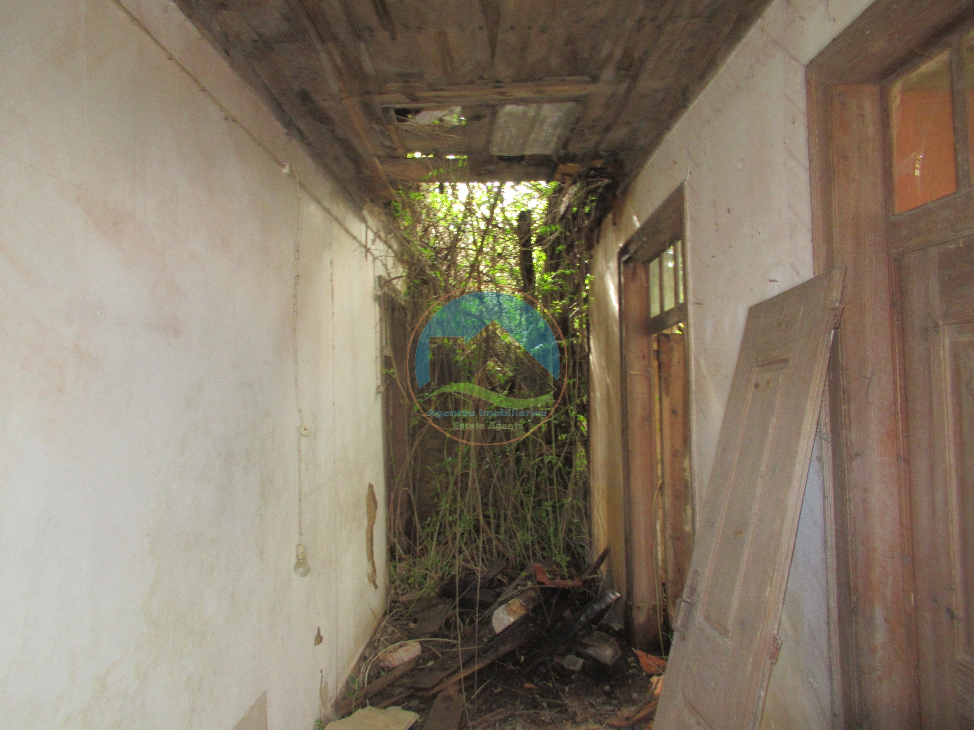 Quintinha com 23.000 m² e moradia em ruína - São Gregório, Caldas — Photo 26