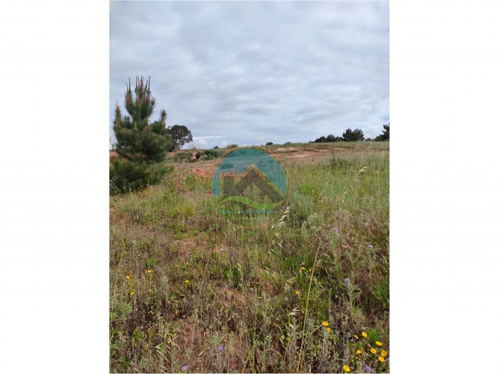 Terreno com 21.160m2 - a 10 minutos de Torres Vedras — Photo 10