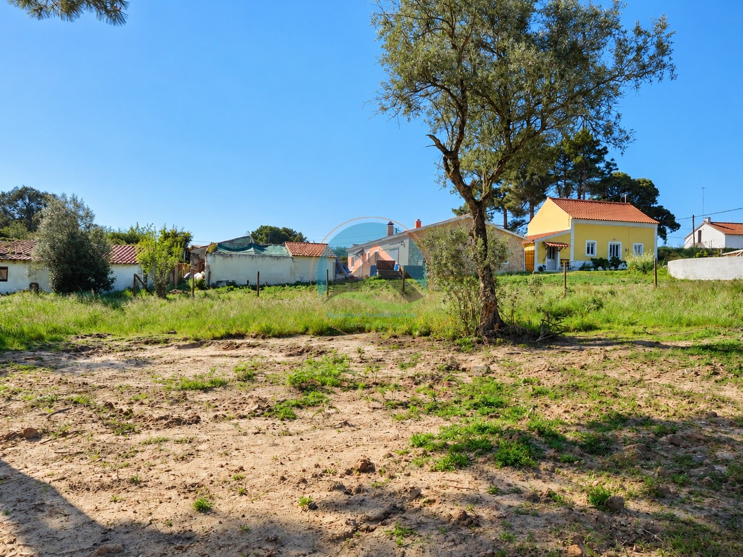 Terreno ubicado cerca de la laguna de Óbidos — Photo 12