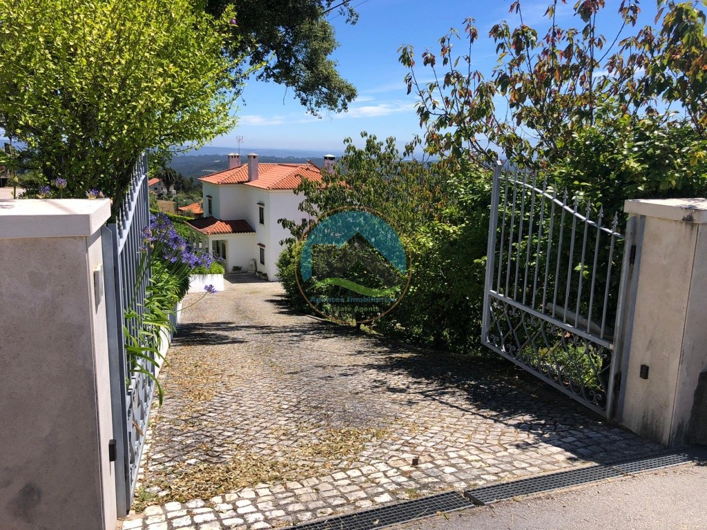 Moradia T4 com garagem, jardim e piscina - Buçaco, Portugal — Photo 23
