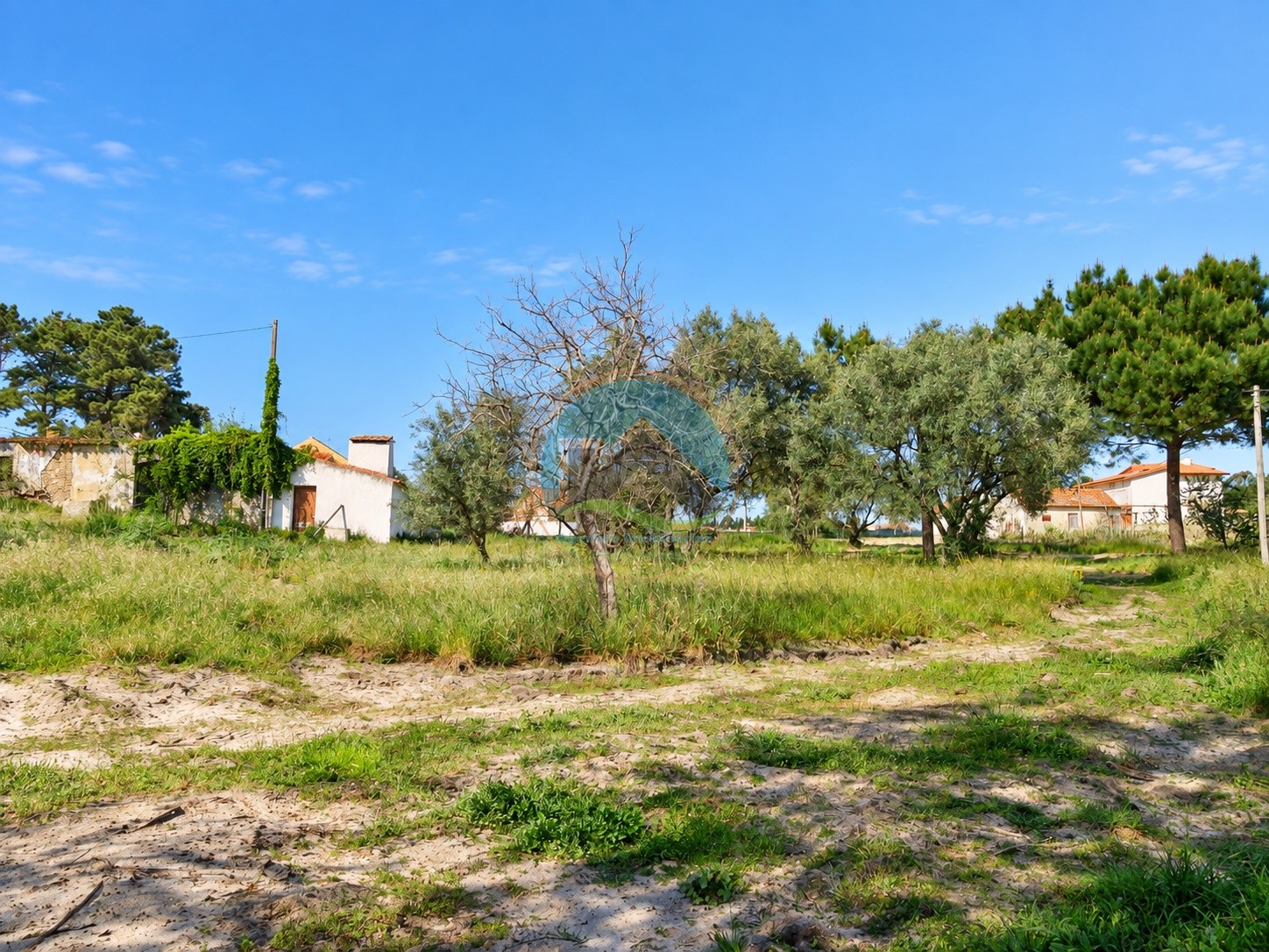 Terreno ubicado cerca de la laguna de Óbidos — Photo 10