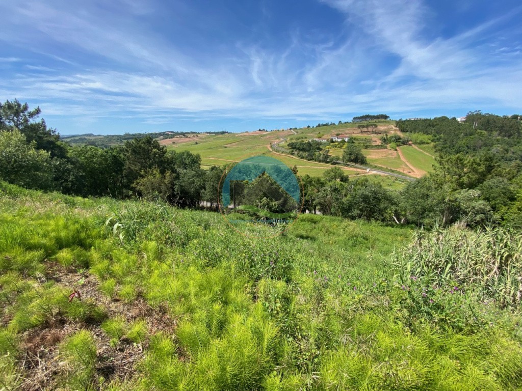 Terreno com 14.993 m2 - Alvorninha, Caldas da Rainha — Foto 7