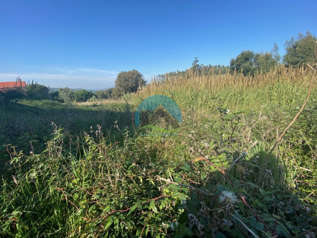 Terreno com 3.100 m2 - Vidais, Caldas da Rainha — Photo 2