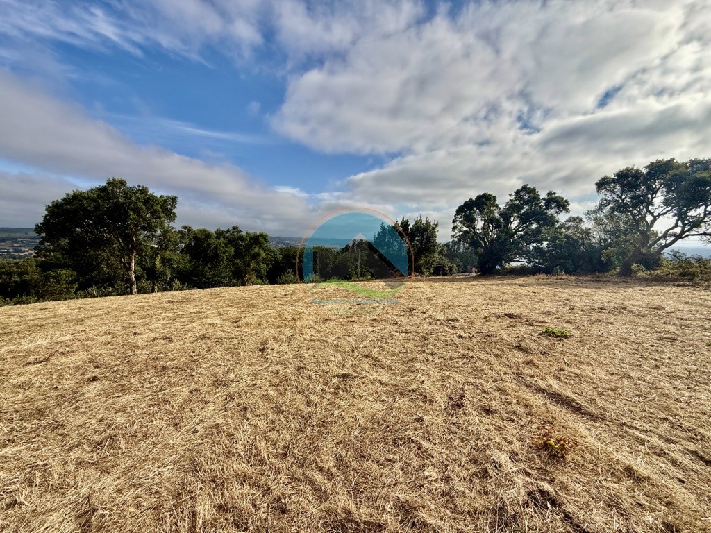 Terreno com vista panorâmica de campo - a 15 minutos de São Martinho do Porto — Photo 4