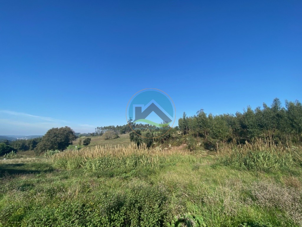 Terreno com 3.100 m2 - Vidais, Caldas da Rainha — Photo 3