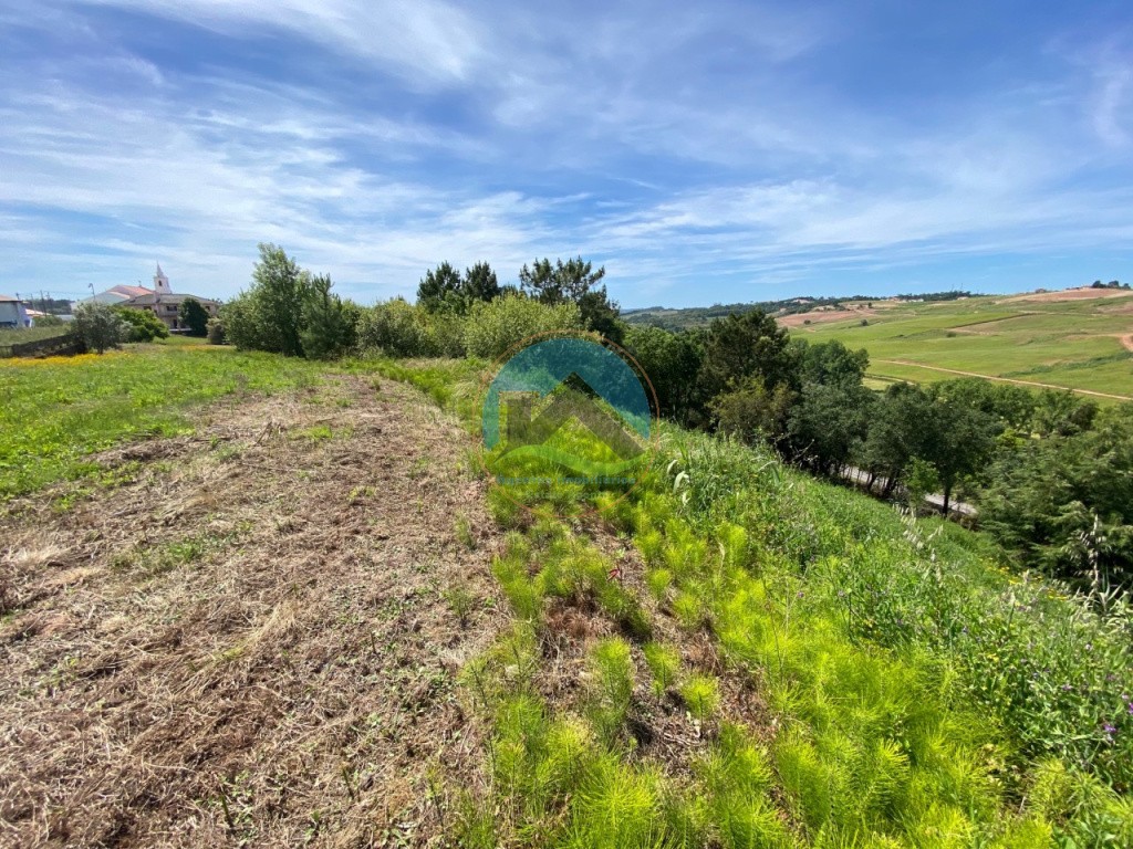 Terreno com 14.993 m2 - Alvorninha, Caldas da Rainha — Foto 18
