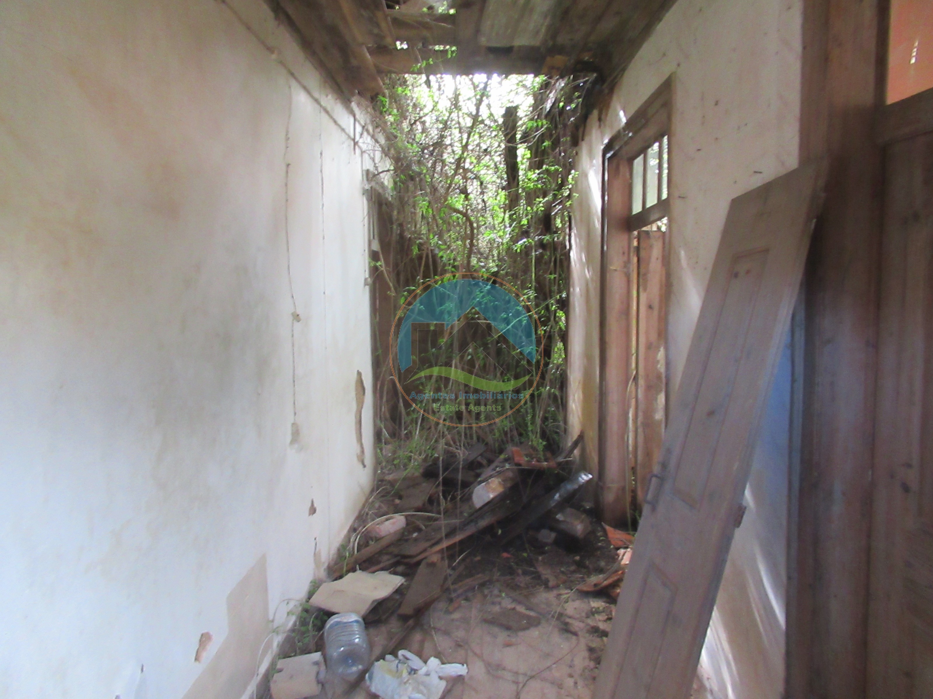 Quintinha com 23.000 m² e moradia em ruína - São Gregório, Caldas — Photo 24