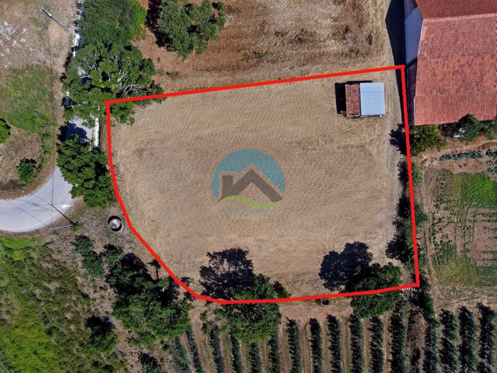 Terreno com vista panorâmica de campo - a 15 minutos de São Martinho do Porto — Photo 2
