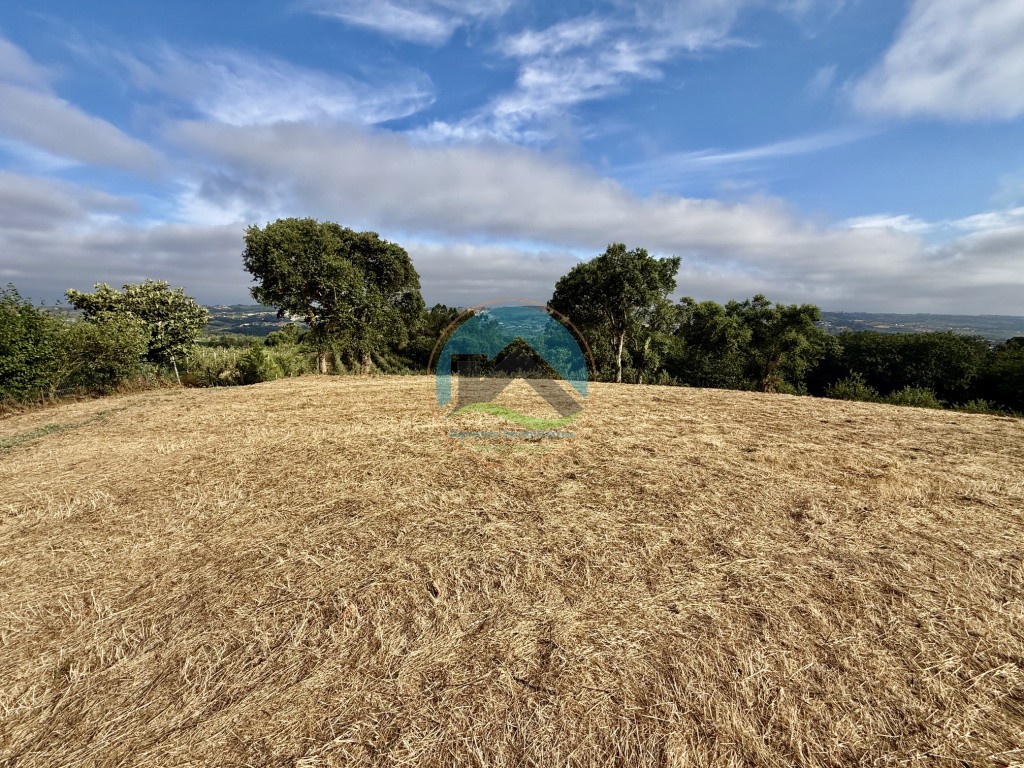 Terreno com vista panorâmica de campo - a 15 minutos de São Martinho do Porto — Photo 5