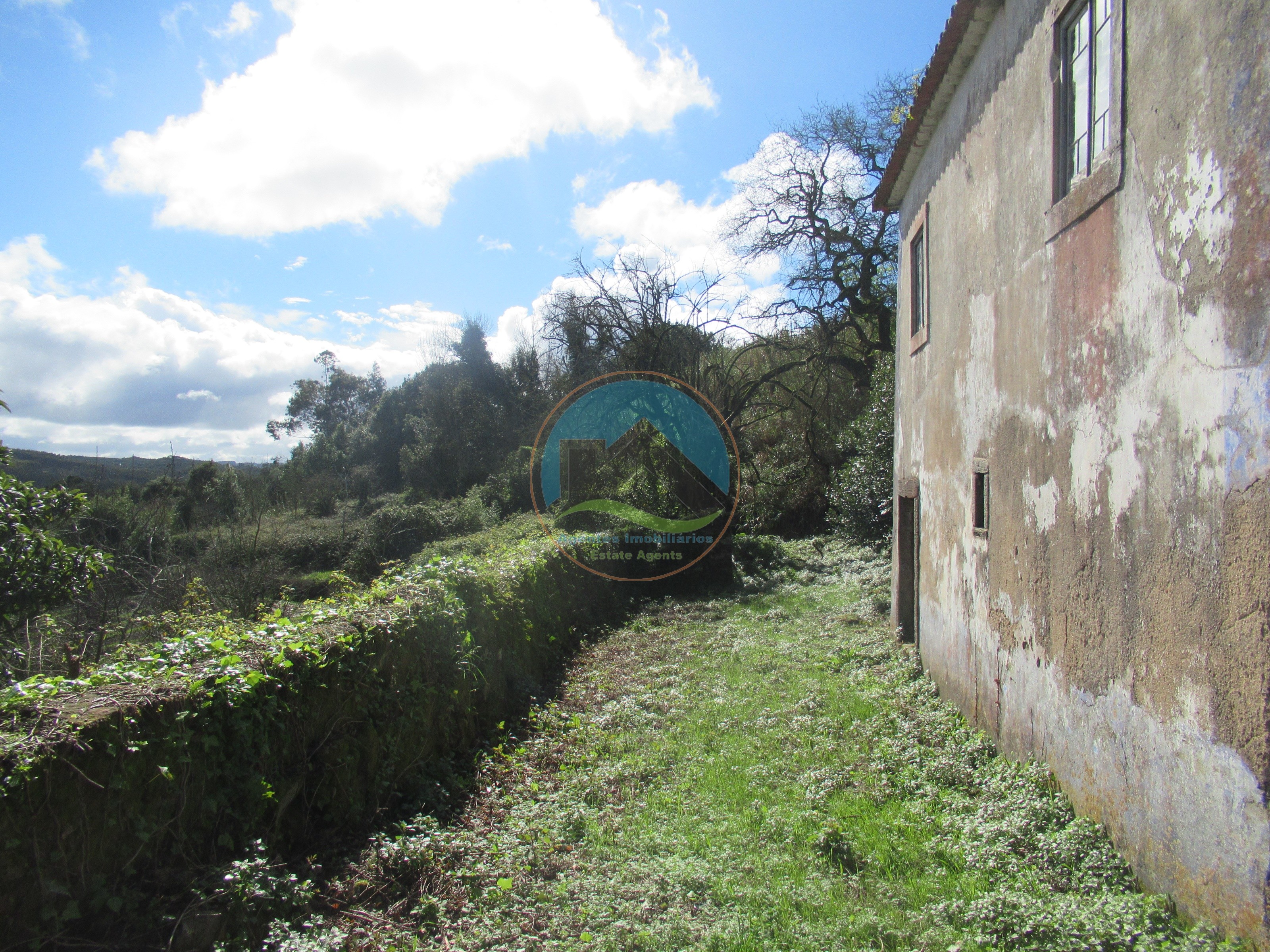 Quintinha com 23.000 m² e moradia em ruína - São Gregório, Caldas — Photo 5