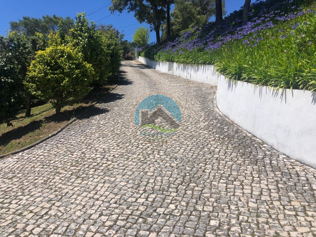 Moradia T4 com garagem, jardim e piscina - Buçaco, Portugal — Photo 29