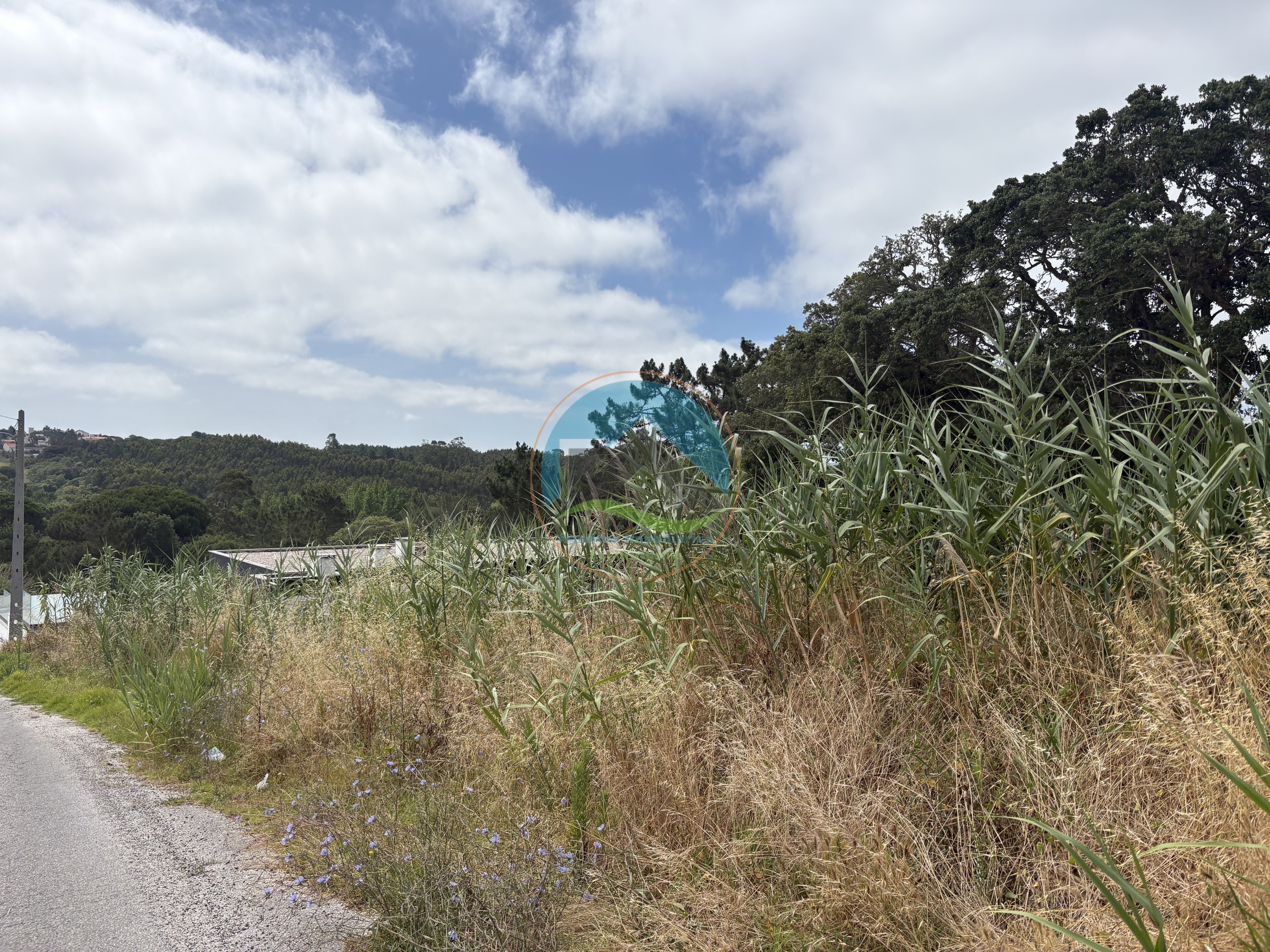 Terreno para construção no Nadadouro — Photo 4