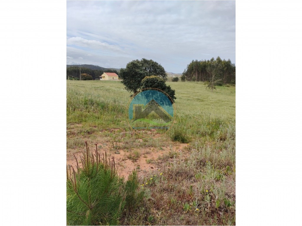 Terreno com 21.160m2 - a 10 minutos de Torres Vedras — Photo 1