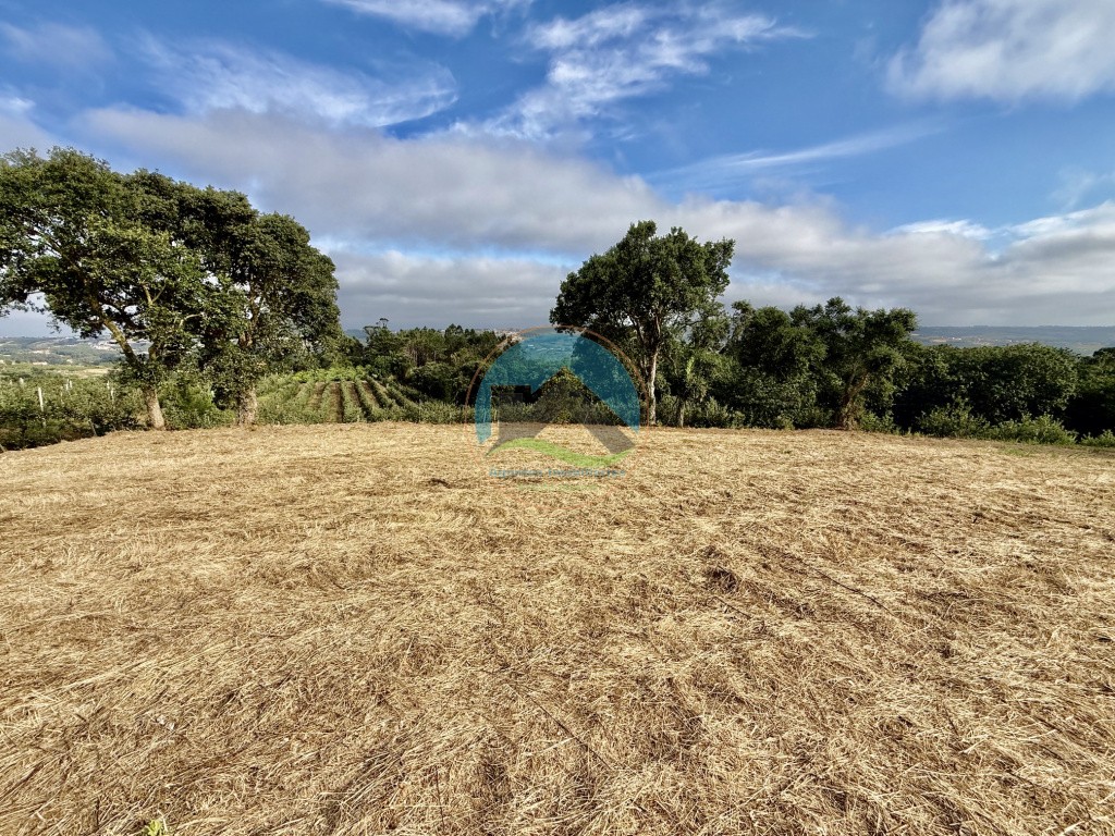 Terreno com vista panorâmica de campo - a 15 minutos de São Martinho do Porto — Photo 1