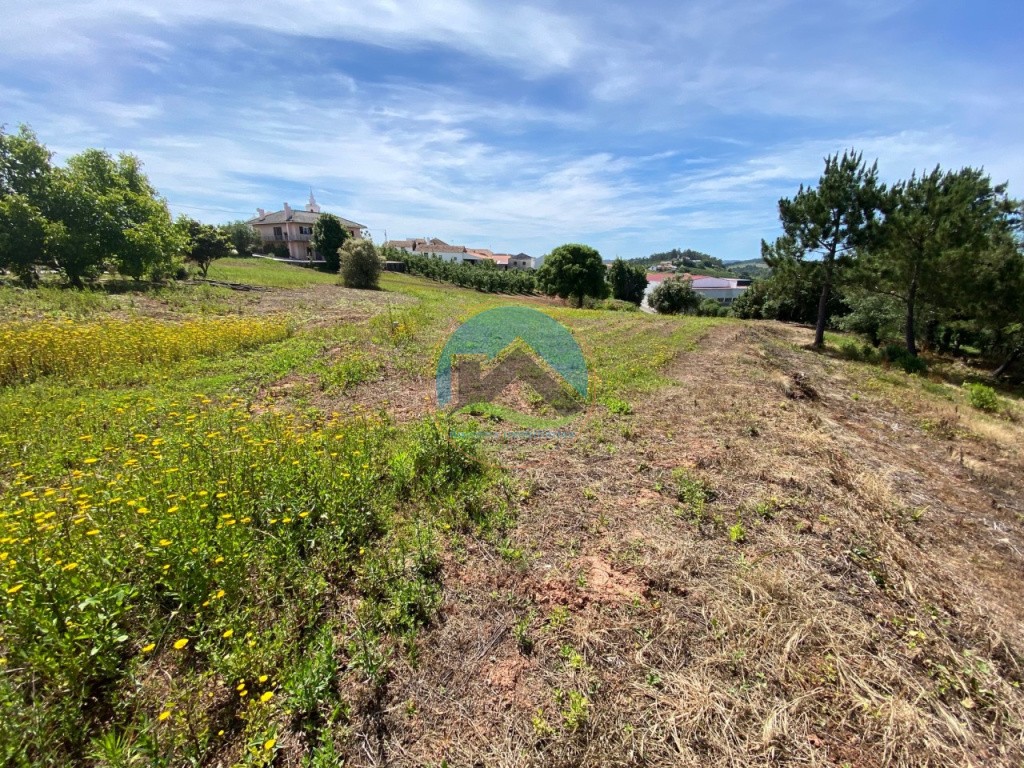 Terreno com 14.993 m2 - Alvorninha, Caldas da Rainha — Foto 13