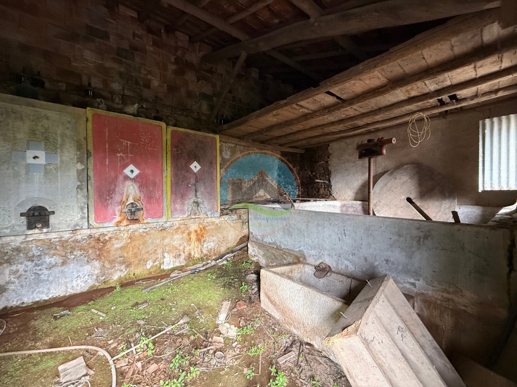 Casa antiga, adega, arrecadações e terreno- Alcobertas, Rio Maior — Photo 4