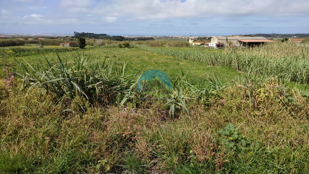 Terreno para construção com 2.108m2 - Peniche — Photo 2