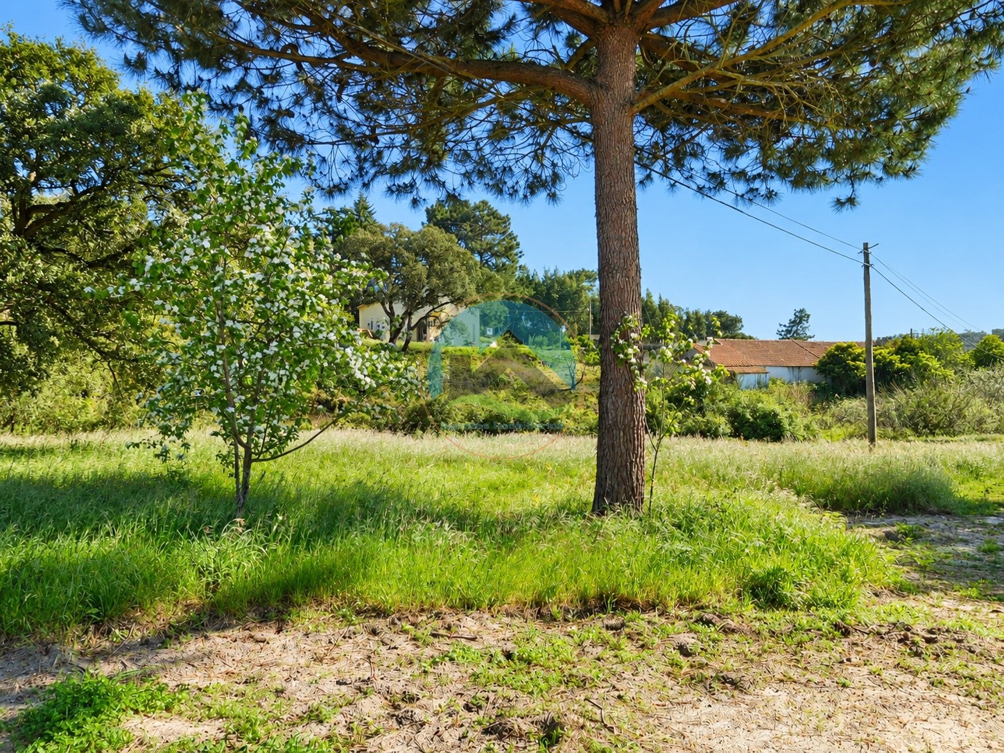 Terreno ubicado cerca de la laguna de Óbidos — Photo 11