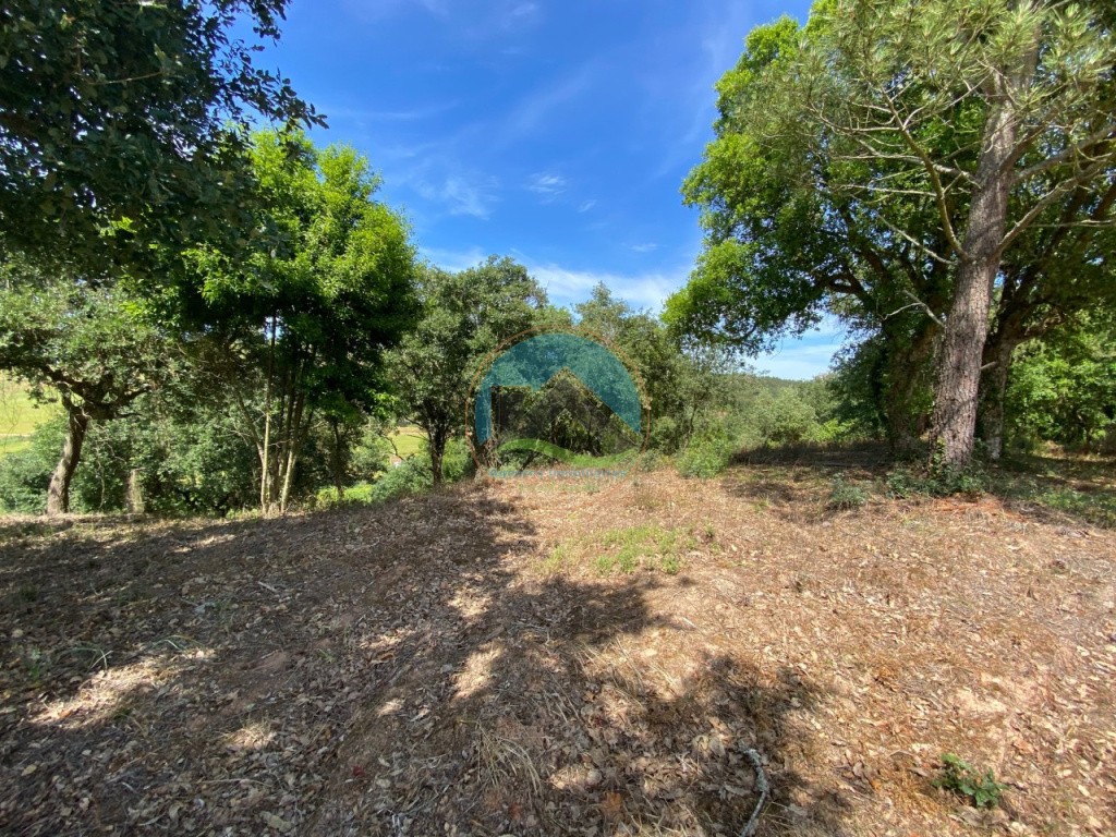 Terreno com 14.993 m2 - Alvorninha, Caldas da Rainha — Foto 12