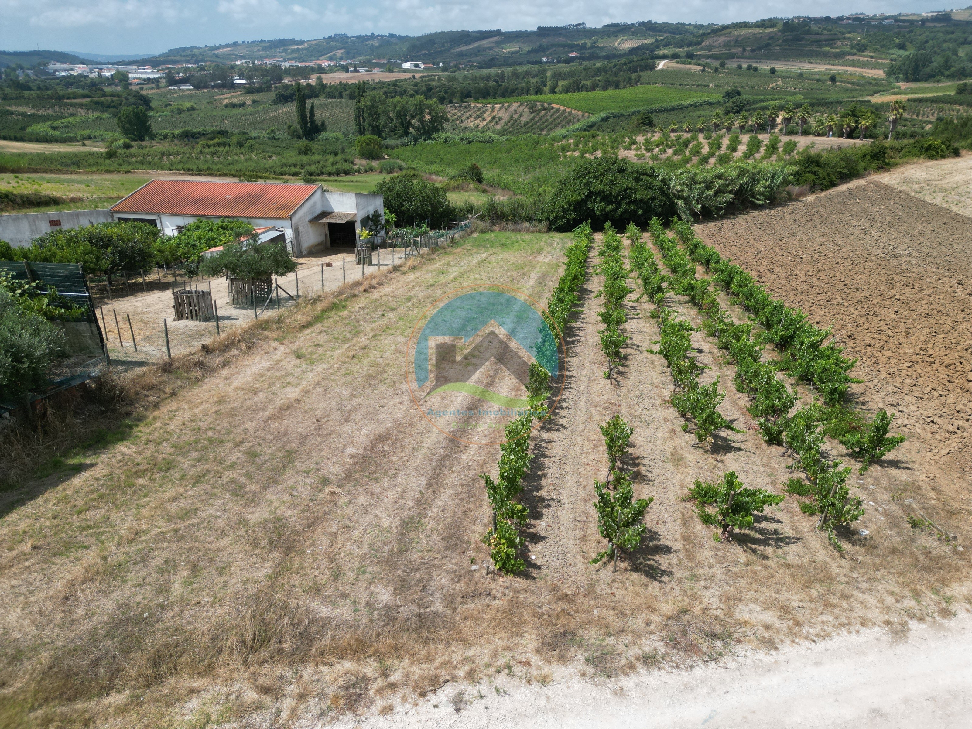 Terreno com Projeto Aprovado para Moradia T3 - Sobral do Parelhão — Photo 8