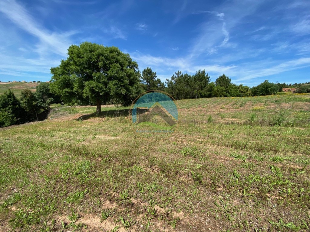 Terreno com 14.993 m2 - Alvorninha, Caldas da Rainha — Foto 1