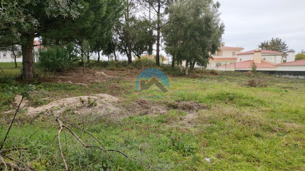 Lote de terreno para construção com 829m2 - Nadadouro, Caldas da Rainha — Photo 5