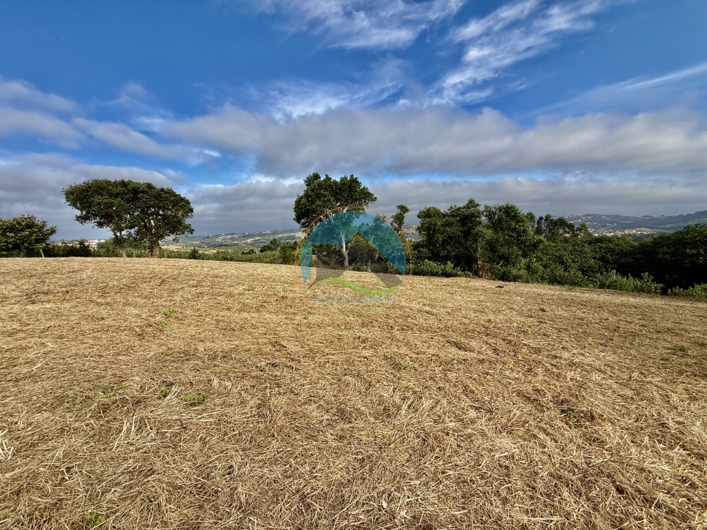 Terreno com vista panorâmica de campo - a 15 minutos de São Martinho do Porto — Photo 8