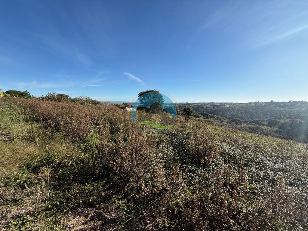Terreno de 2.480m2 para construção - Usseira, Óbidos — Photo 17