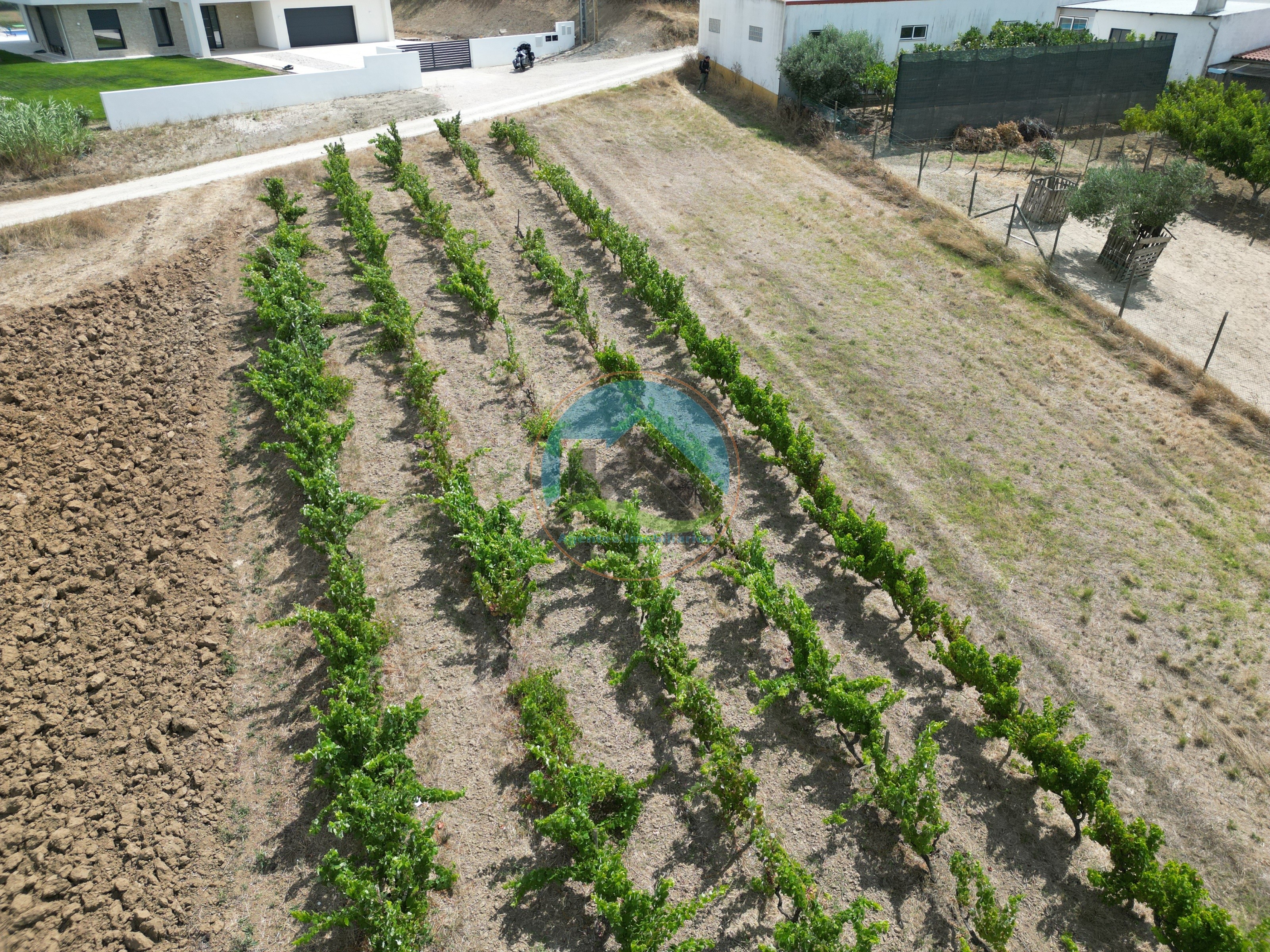 Terreno com Projeto Aprovado para Moradia T3 - Sobral do Parelhão — Photo 17