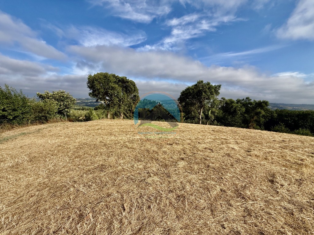 Terreno com vista panorâmica de campo - a 15 minutos de São Martinho do Porto — Photo 3