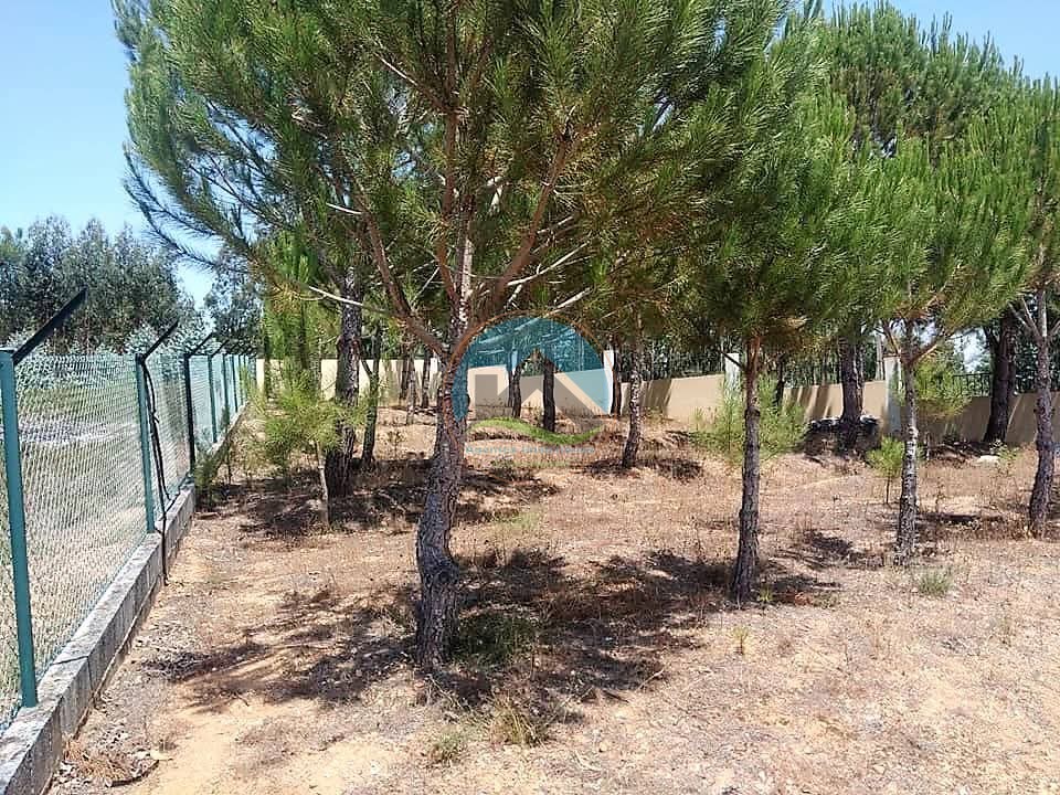 Casa de campo con piscina y terreno - Arrouquelas, Rio Maior — Photo 45