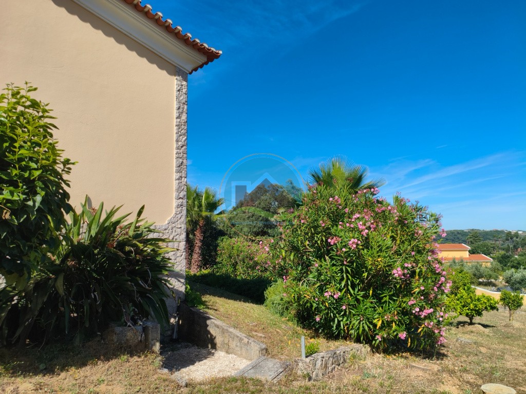 Casa de campo con piscina y terreno - Arrouquelas, Rio Maior — Photo 46