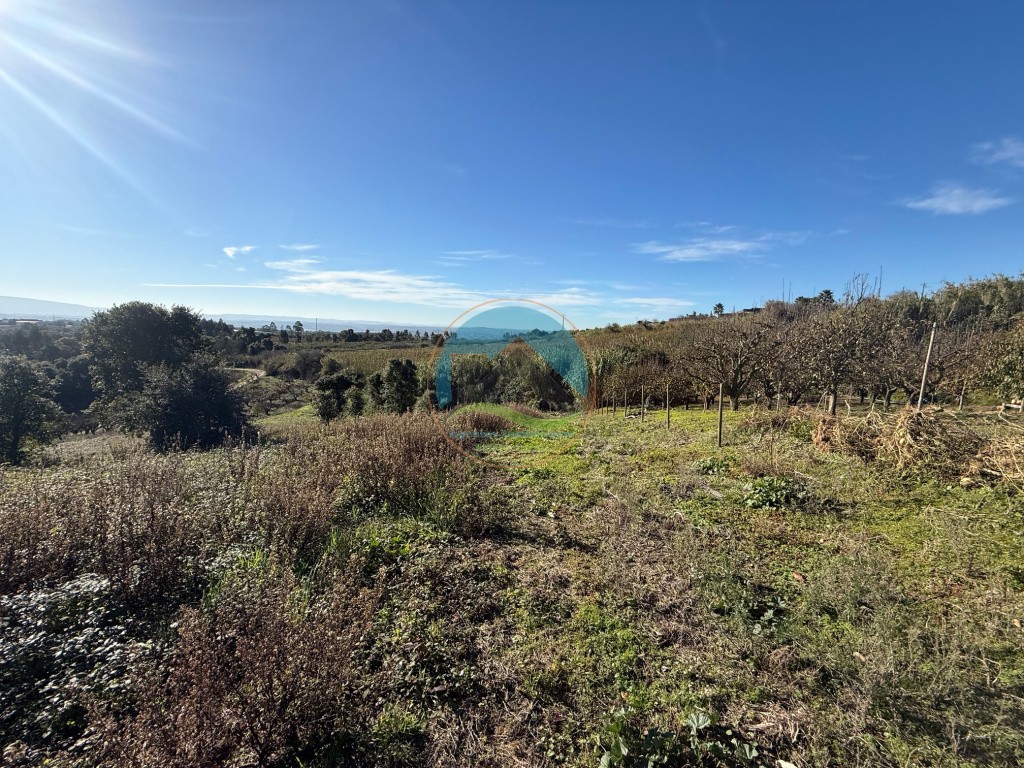 Terreno de 2.480m2 para construção - Usseira, Óbidos — Photo 19