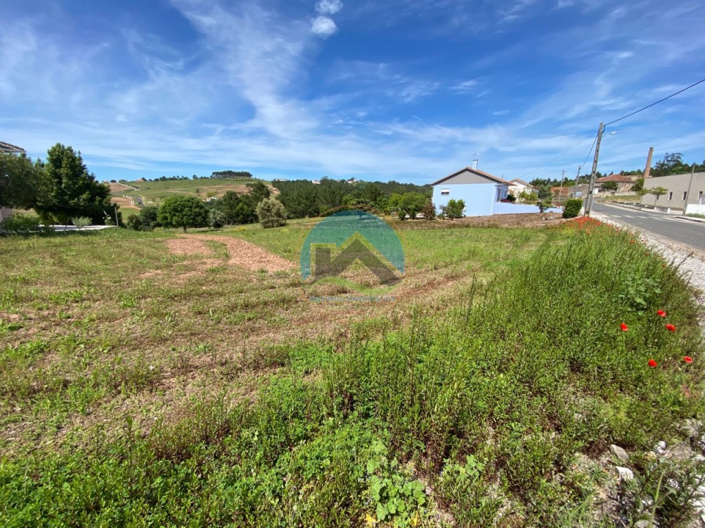 Terreno com 14.993 m2 - Alvorninha, Caldas da Rainha — Foto 22