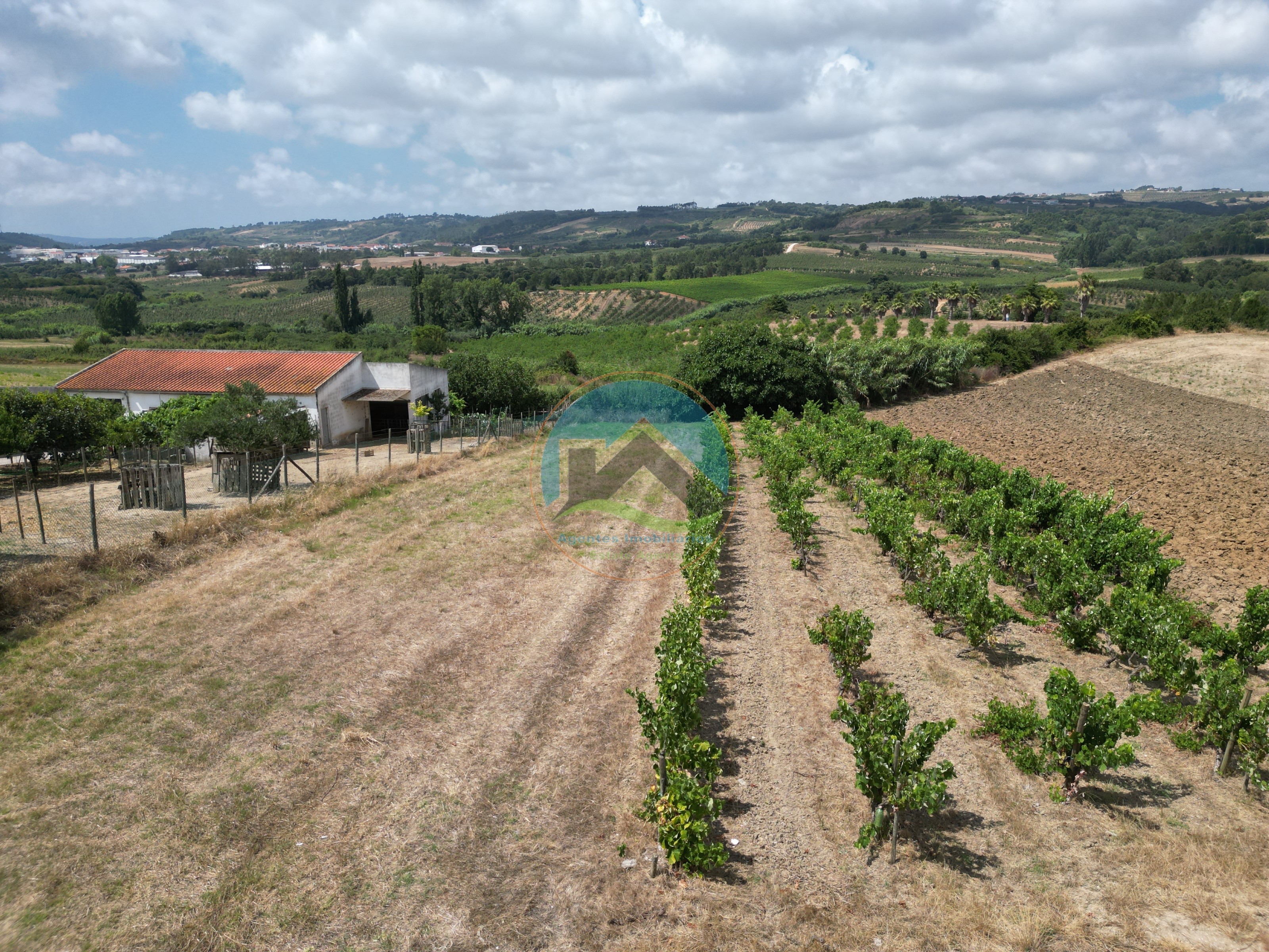 Terreno com Projeto Aprovado para Moradia T3 - Sobral do Parelhão — Photo 6