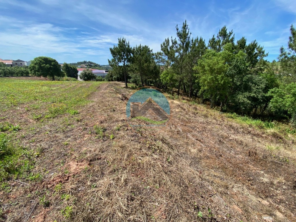 Terreno com 14.993 m2 - Alvorninha, Caldas da Rainha — Foto 14