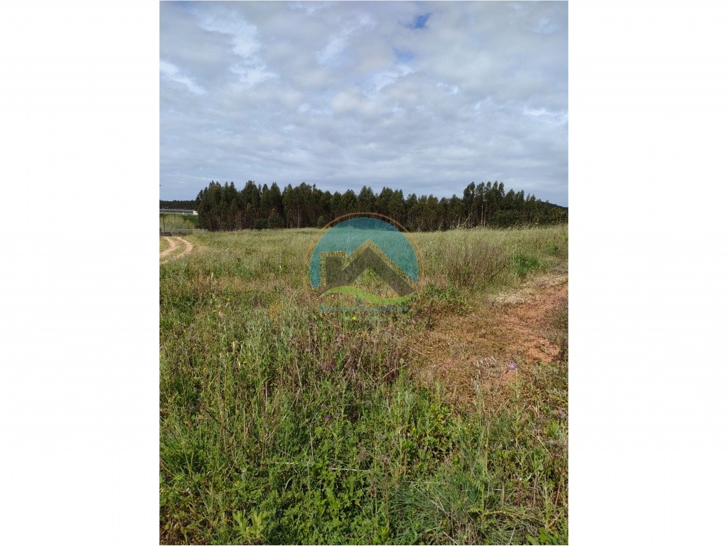 Terreno com 21.160m2 - a 10 minutos de Torres Vedras — Photo 7