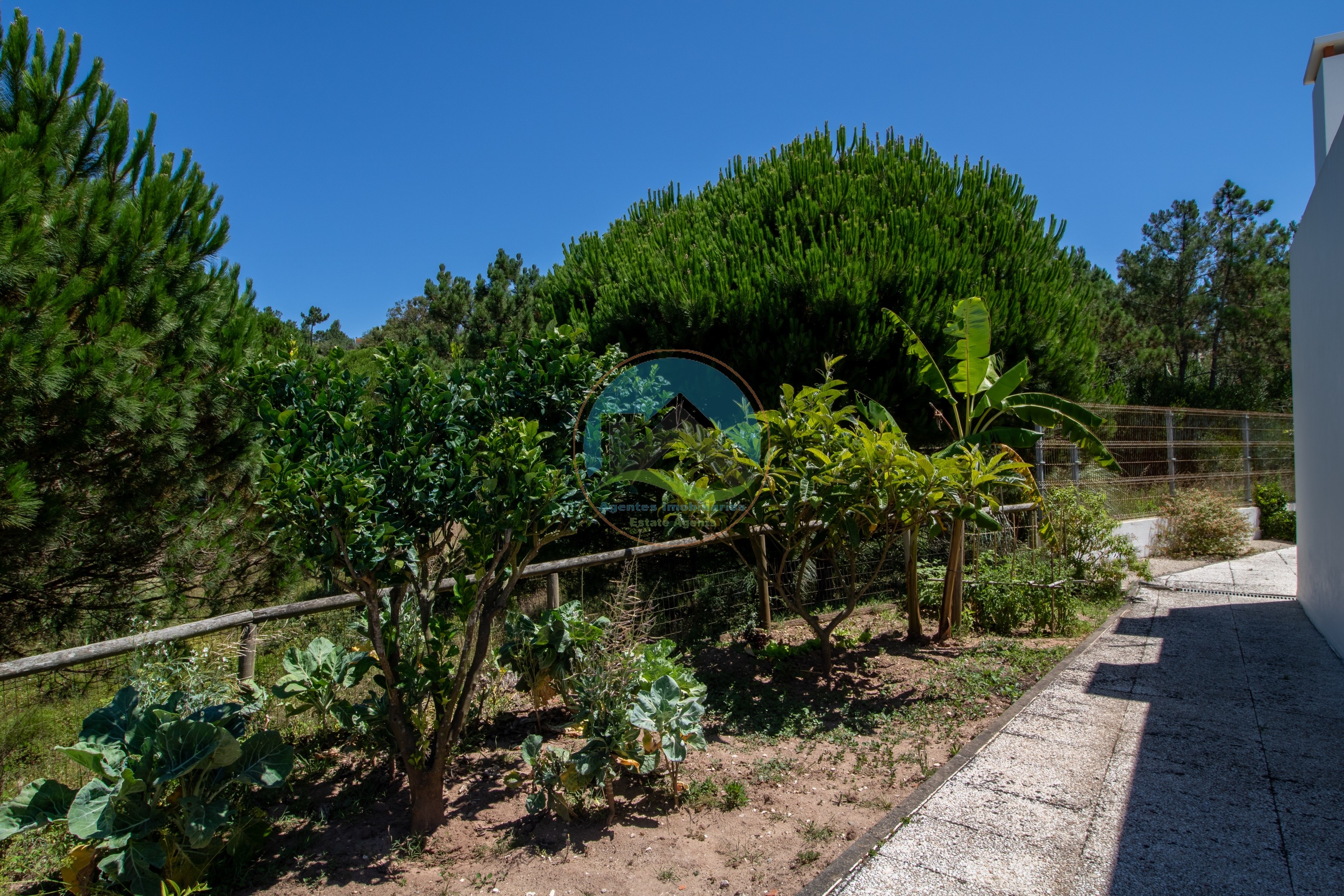 Villa indipendente in una posizione di pregio con vista sulla laguna — Photo 28