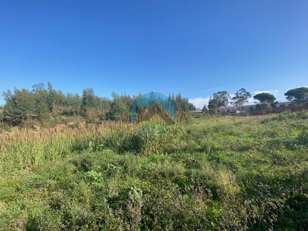 Terreno com 3.100 m2 - Vidais, Caldas da Rainha — Photo 5