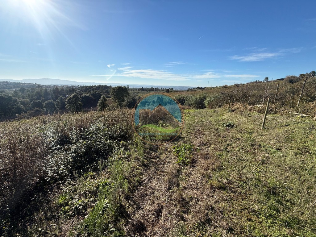 Terreno de 2.480m2 para construção - Usseira, Óbidos — Photo 20
