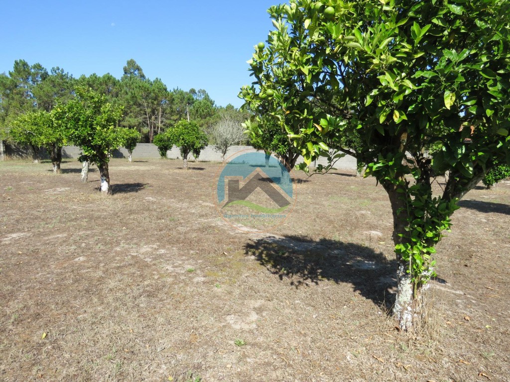 Moradia T3 com terreno - a 15 min. da Figueira da Foz — Photo 7