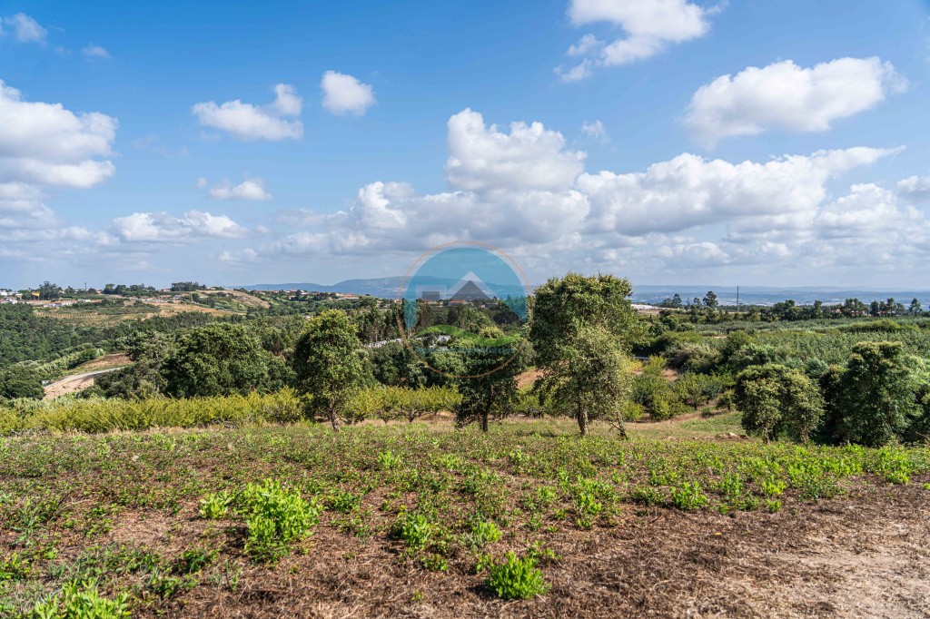 Terreno de 2.480m2 para construção - Usseira, Óbidos — Photo 29