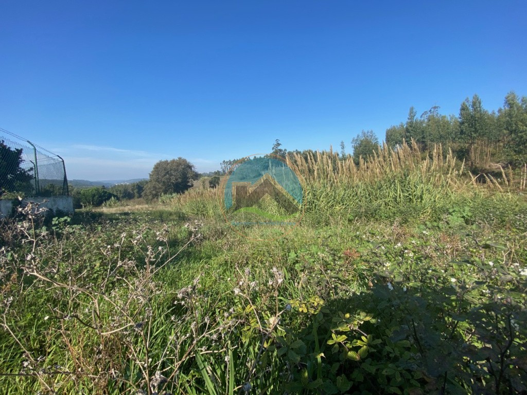 Terreno com 3.100 m2 - Vidais, Caldas da Rainha — Photo 6