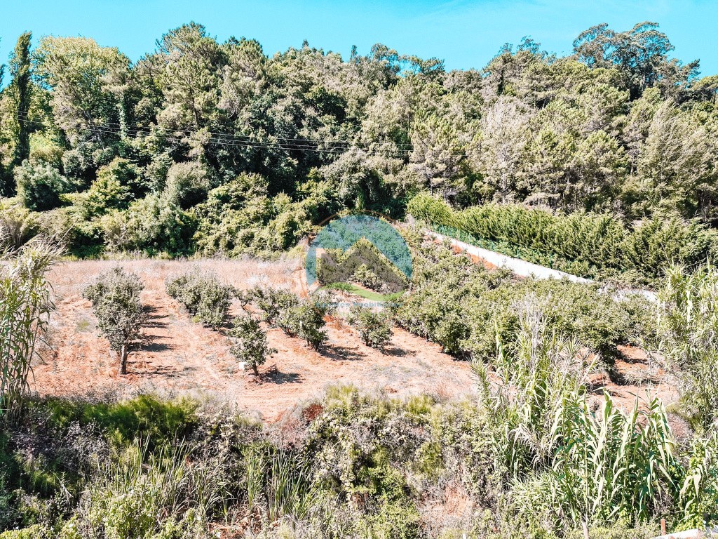 Haus mit Pool, Garage und Blick auf die Natur - Vimeiro, Alcobaça — Photo 7