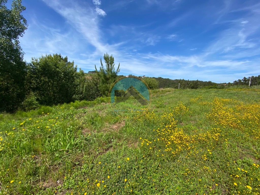 Terreno com 14.993 m2 - Alvorninha, Caldas da Rainha — Foto 16