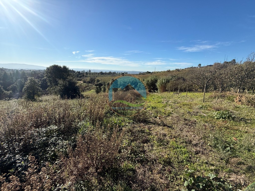 Terreno de 2.480m2 para construção - Usseira, Óbidos — Photo 13