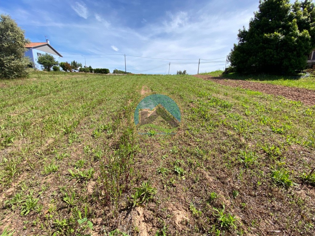 Terreno com 14.993 m2 - Alvorninha, Caldas da Rainha — Foto 10
